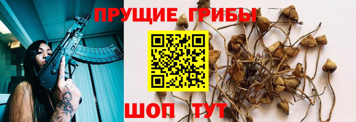 Галлюциногенные грибы прущие грибы Назарово