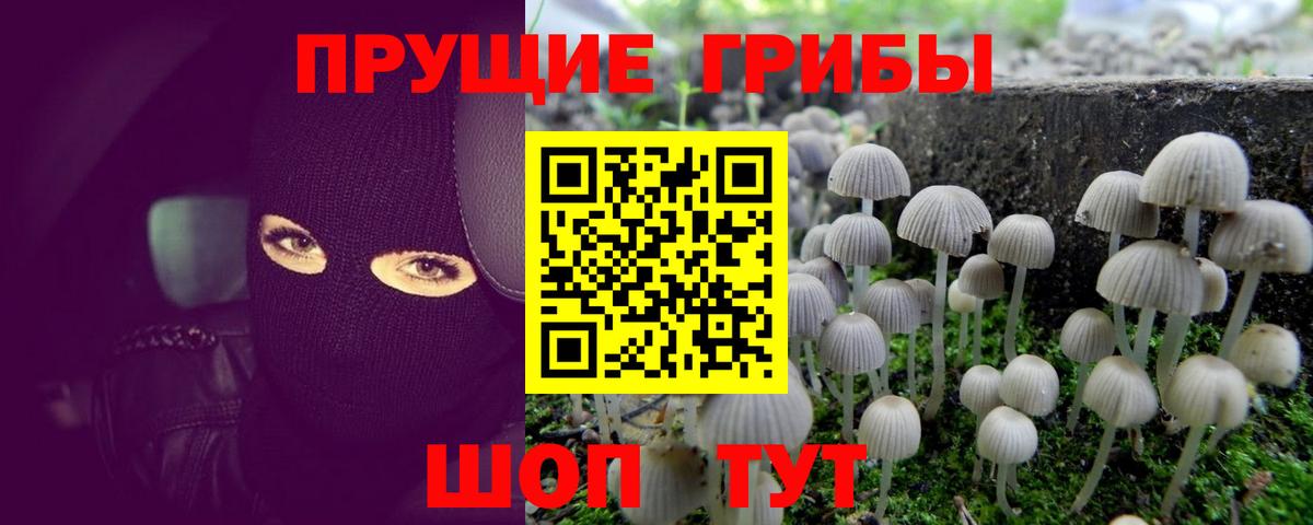 Назарово  Псилоцибиновые грибы Magic Shrooms  Вход с VPN  Галлюциногенные грибы GOLDEN TEACHER 